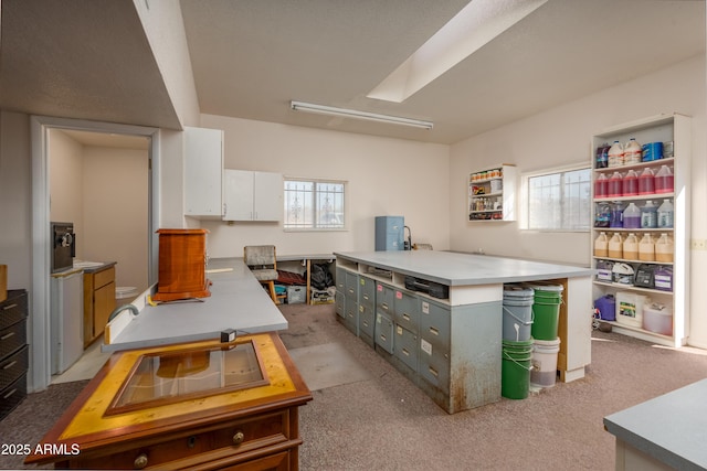 kitchen featuring light carpet, a healthy amount of sunlight, white cabinetry, and light countertops