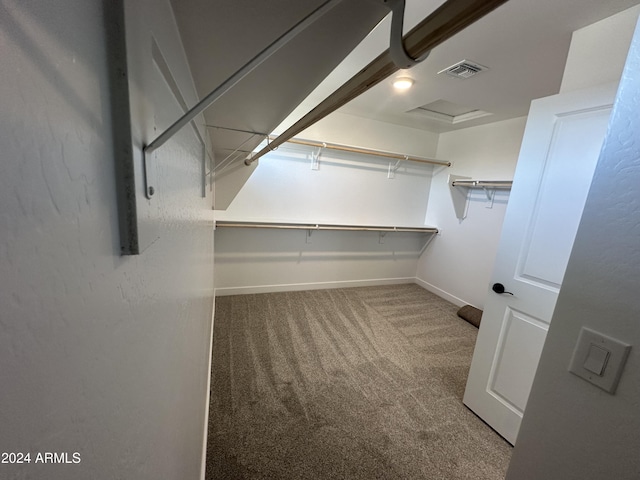 walk in closet with carpet floors