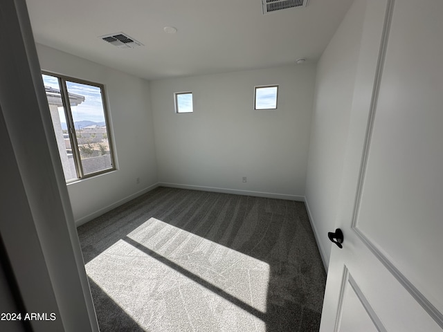 carpeted empty room featuring a healthy amount of sunlight