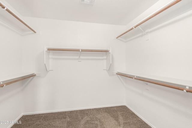 walk in closet featuring carpet flooring