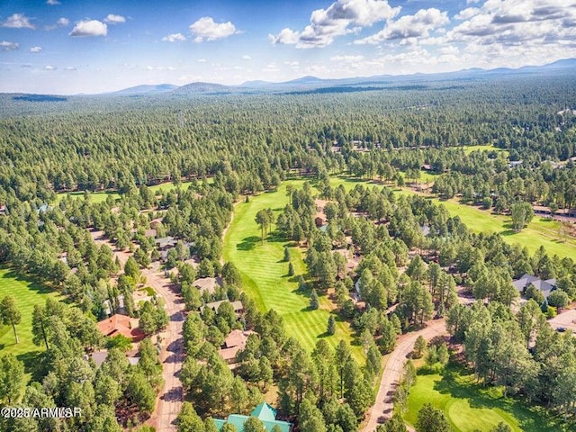 bird's eye view with a mountain view