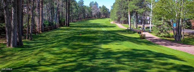 view of property's community featuring a lawn