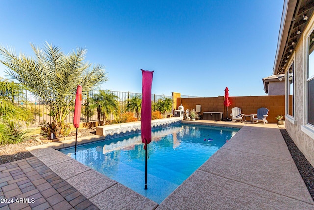 view of pool with a patio area