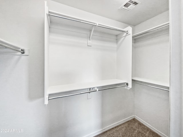 spacious closet with carpet floors