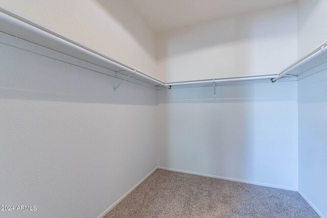 walk in closet with carpet floors