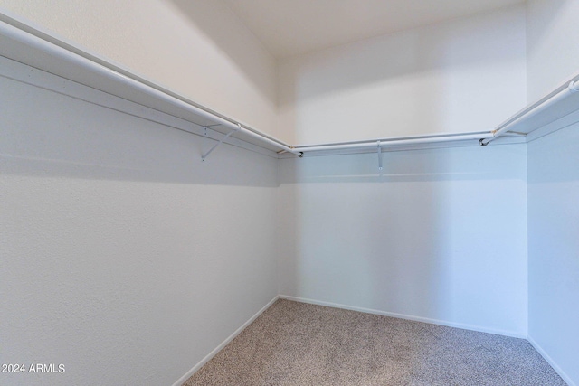 spacious closet featuring carpet flooring