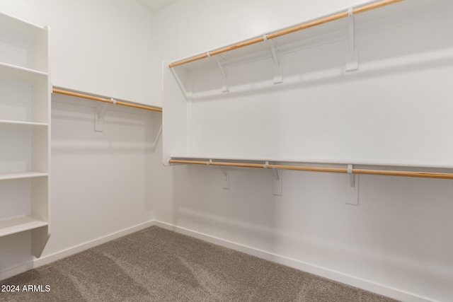 walk in closet featuring carpet floors