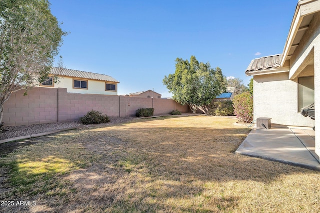 view of yard featuring a patio