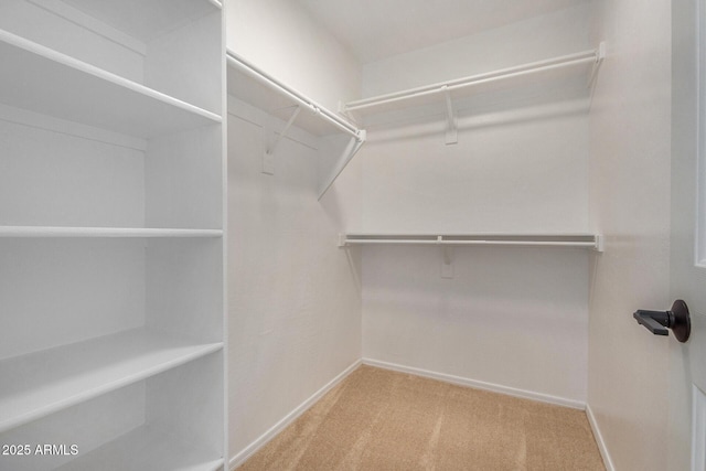 spacious closet featuring light carpet