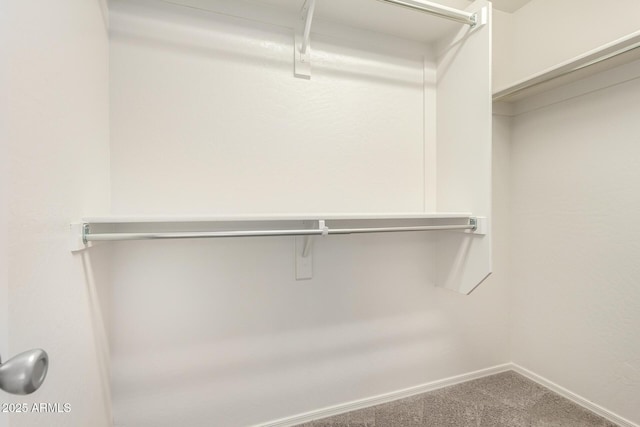 5113 E Greenway St E, Mesa, AZ 85205 - walk in closet with carpet flooring