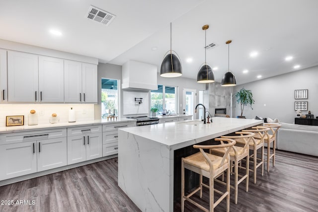 kitchen with light stone countertops, a sink, open floor plan, dark wood-type flooring, and visible vents