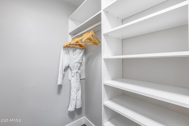 view of spacious closet