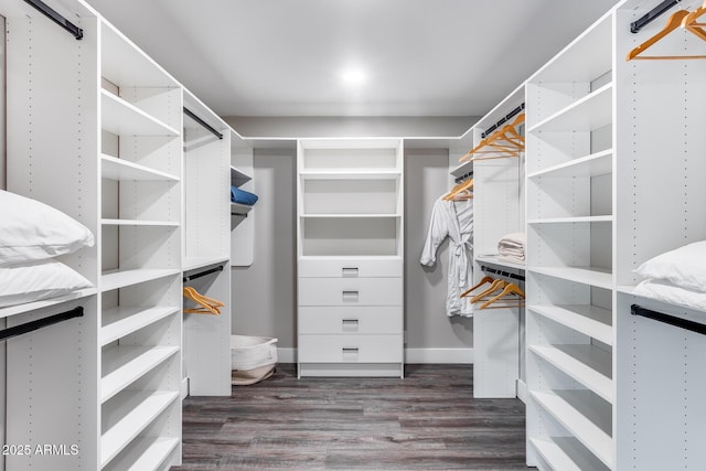 walk in closet featuring dark wood finished floors