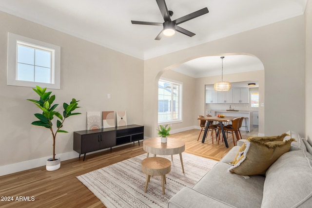 living room with ceiling fan, crown molding, and light hardwood / wood-style flooring