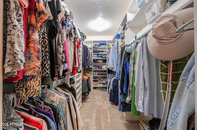 spacious closet featuring light carpet