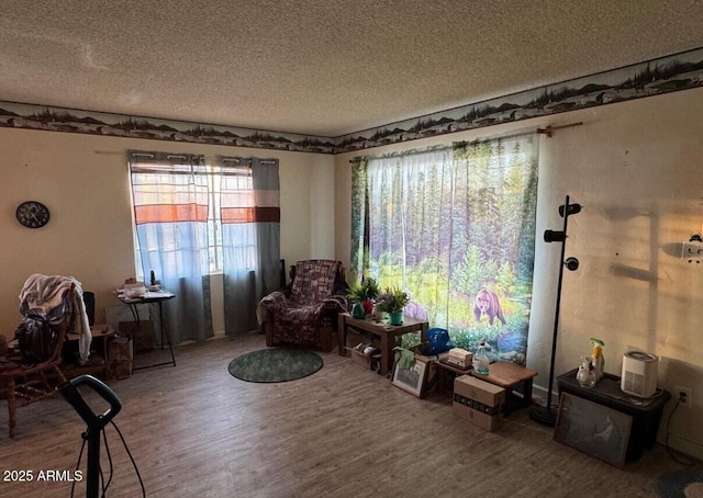 living area featuring a textured ceiling and wood finished floors