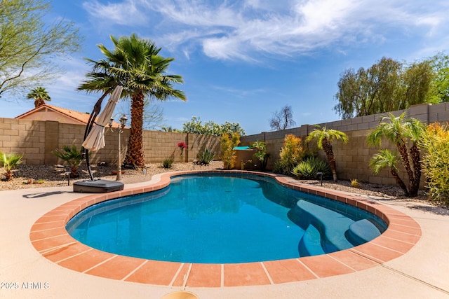 24813 N 55th Dr, Glendale, AZ 85310 - view of swimming pool with a fenced backyard and a patio