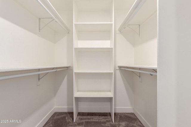 spacious closet featuring carpet