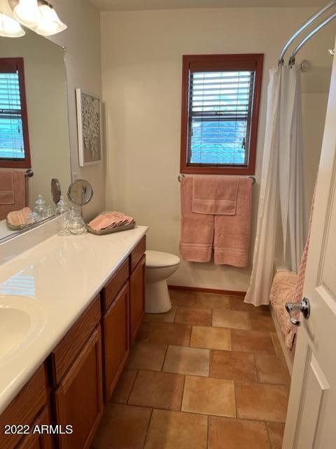 bathroom with vanity, toilet, and a shower with curtain