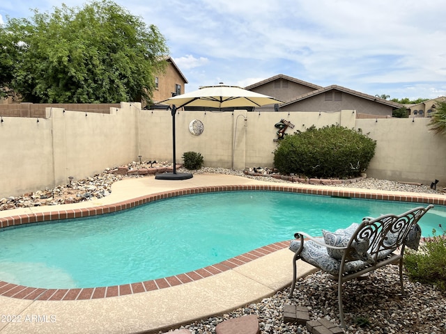 view of swimming pool