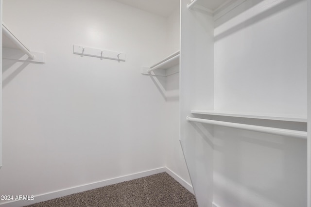 spacious closet featuring carpet floors