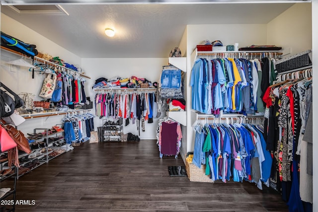spacious closet with wood finished floors