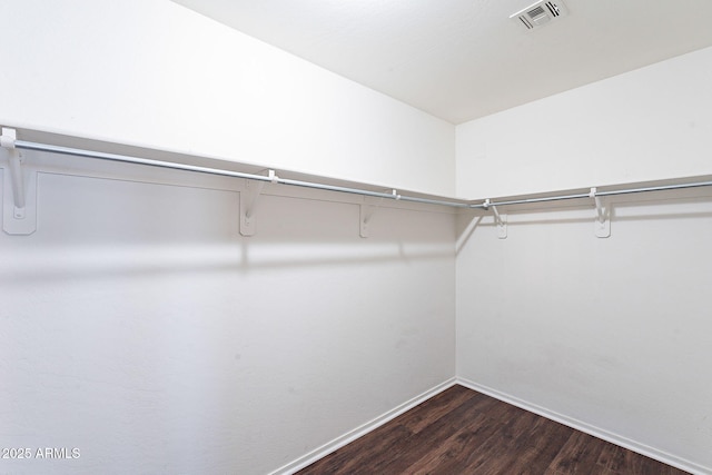 35005 N 30th Dr, Phoenix, AZ 85086 - spacious closet with visible vents and dark wood-style flooring