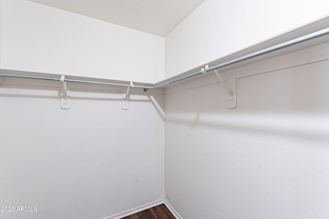 35005 N 30th Dr, Phoenix, AZ 85086 - spacious closet featuring dark wood-style flooring