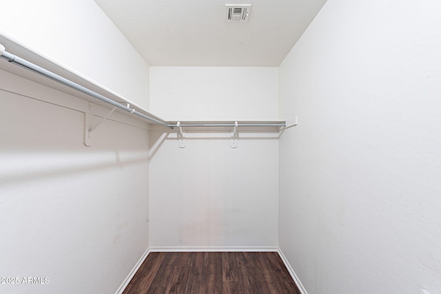 35005 N 30th Dr, Phoenix, AZ 85086 - spacious closet with wood finished floors and visible vents