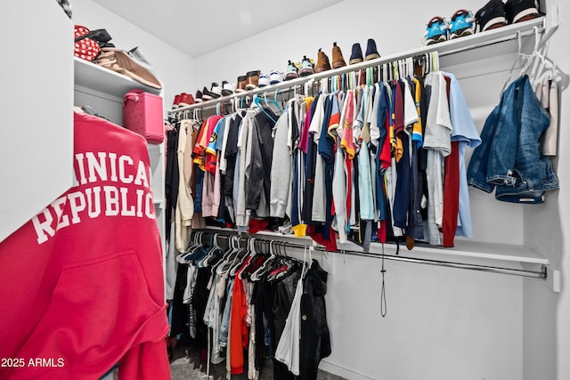 spacious closet with carpet