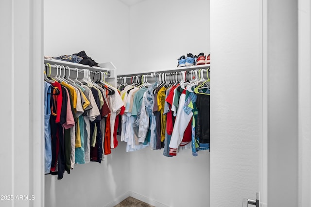 spacious closet featuring carpet floors