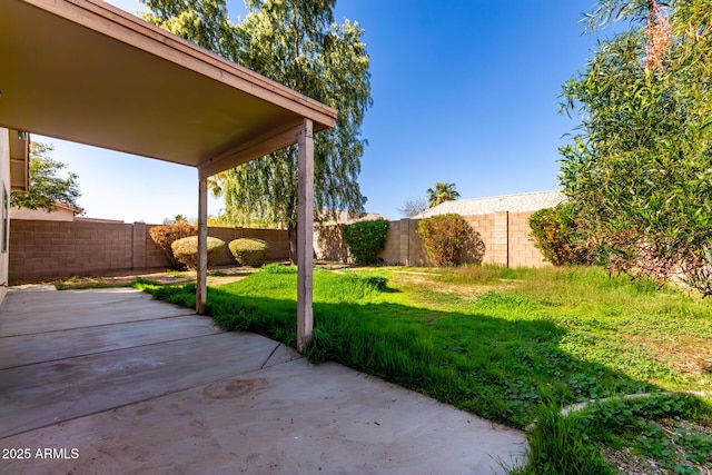 view of yard with a patio area