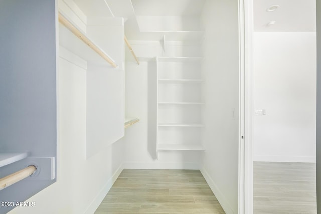 spacious closet featuring light hardwood / wood-style flooring