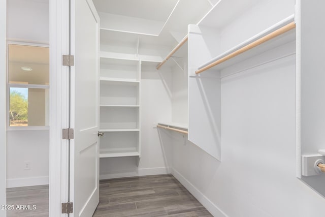 walk in closet with dark wood-type flooring