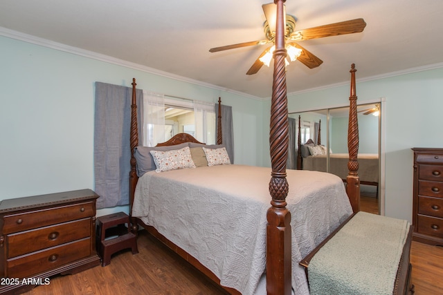 bedroom featuring dark wood-type flooring, ornamental molding, a closet, and ceiling fan