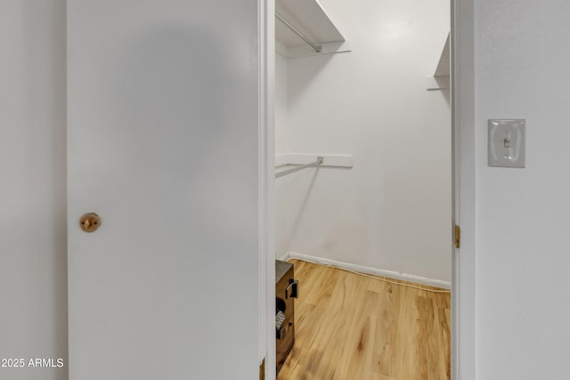 spacious closet featuring wood finished floors