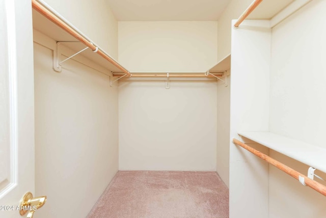 spacious closet featuring carpet floors