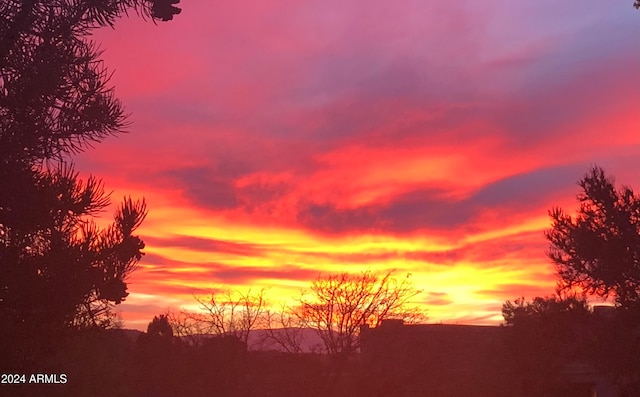 view of nature at dusk