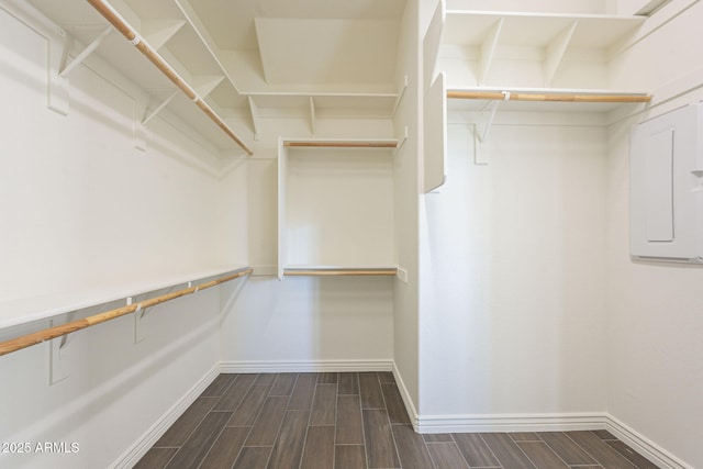 walk in closet featuring wood finish floors and electric panel