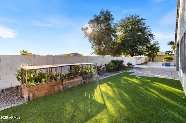 view of yard featuring a patio