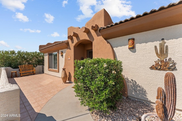 view of home's exterior featuring a patio