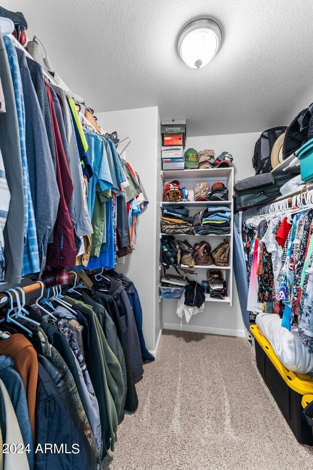 spacious closet featuring carpet