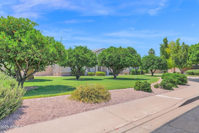 1940 N Stevens Cir, Mesa, AZ 85205 - view of property's community with a yard