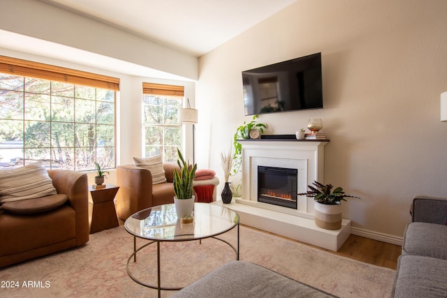 living room with hardwood / wood-style flooring