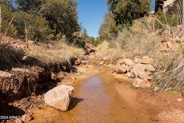 view of local wilderness