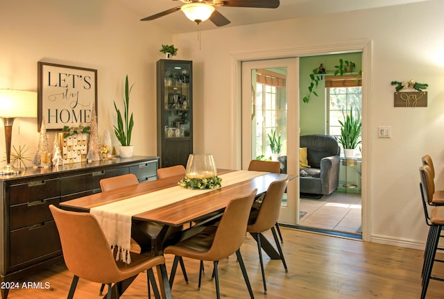 dining area featuring light hardwood / wood-style flooring and ceiling fan