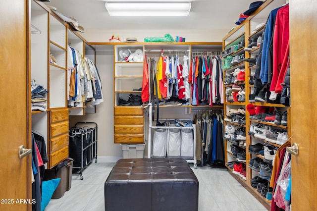 view of spacious closet