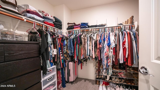 spacious closet featuring carpet flooring