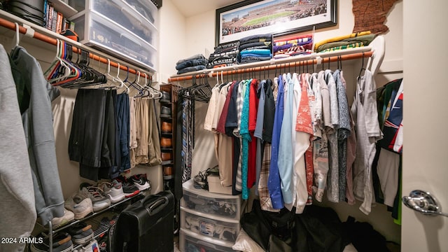 view of spacious closet