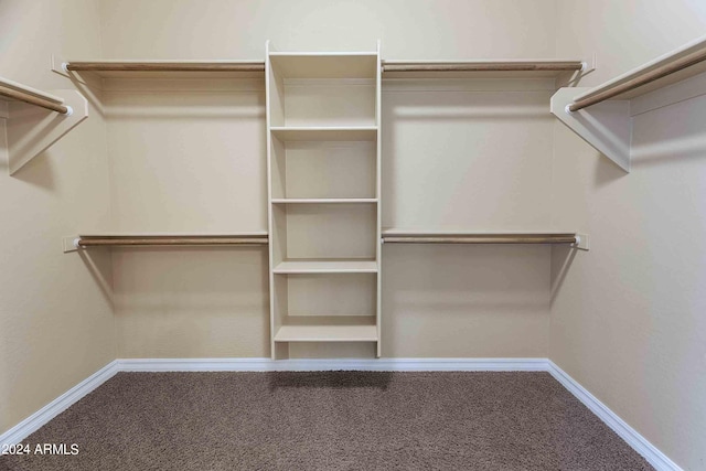 2736 E Sourwood Dr, Gilbert, AZ 85298 - spacious closet featuring carpet